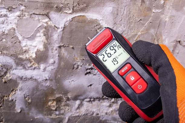 Best Mold Remediation for Specific Building Types in Spiro, OK