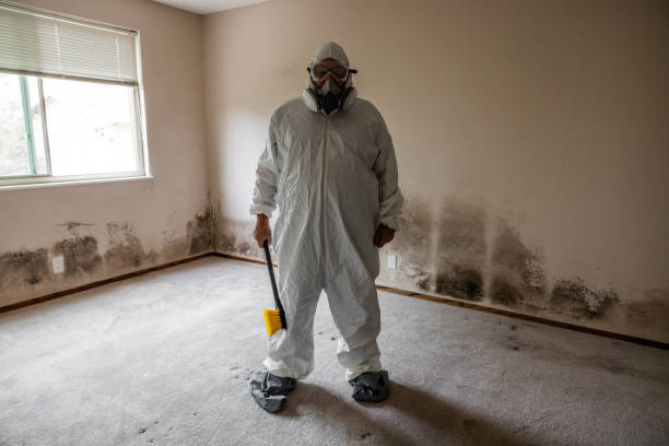 Best Commercial Mold Remediation in Spiro, OK