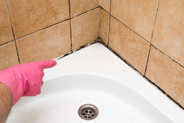 Best Residential Mold Remediation in Spiro, OK
